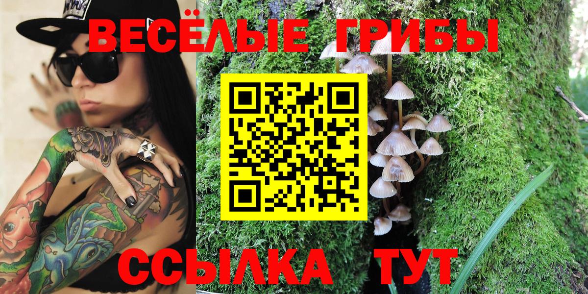 Псилоцибиновые грибы MAGIC MUSHROOMS Россошь