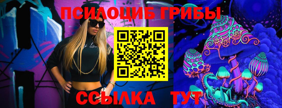 Россошь  где купить наркоту  Вход с VPN  Псилоцибиновые грибы Magic Shrooms  Галлюциногенные грибы Psilocybe 